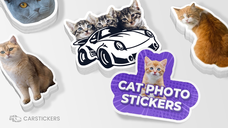 Cat Photo Stickers Stacks