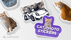 Cat Photo Stickers Stacks