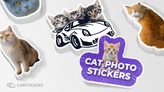 Cat Photo Stickers Stacks