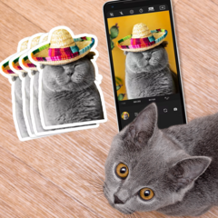 Cat Photo Stickers