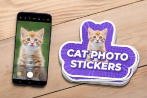 Cat Photo Stickers