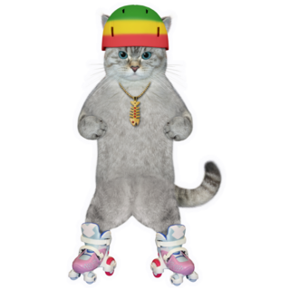 Cat Roller Skates Sticker