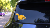 Cat With Tilted Head Sticker on a Rear Car Window (New) example