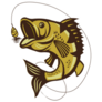 Catching Bass Fish with Fishing Line Sticker