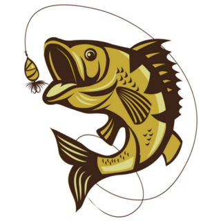Catching Bass Fish with Fishing Line Sticker