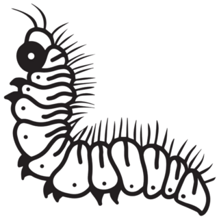 Caterpillar Graphic Illustration Sticker