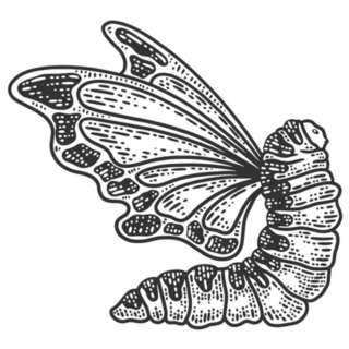 Caterpillar With Butterfly Wings Sketch Engraving Sticker
