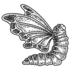 Caterpillar With Butterfly Wings Sketch Engraving Sticker