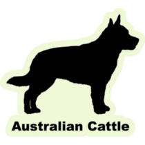 Cattle Dog Breed Sticker