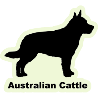Cattle Dog Breed Sticker