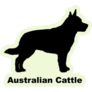 Cattle Dog Breed Sticker