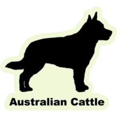 Cattle Dog Breed Sticker