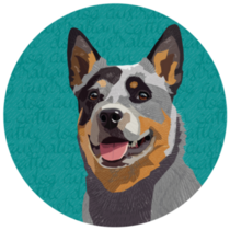 Cattle Dog Circle Sticker