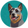 Cattle Dog Circle Sticker