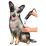 Cattle Dog Grooming Sticker
