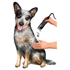 Cattle Dog Grooming Sticker