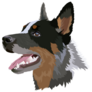 Cattle Dog Head Sticker