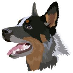 Cattle Dog Head Sticker