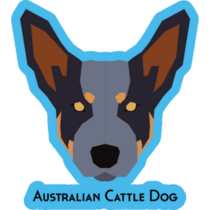 Cattle Dog On Blue Sticker