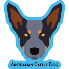 Cattle Dog On Blue Sticker