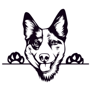 Cattle Dog Peeking Sticker