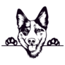 Cattle Dog Peeking Sticker