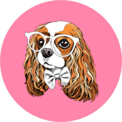 Cavalier King Charles Spaniel in Glasses Sticker