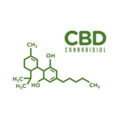 Cbd Cannabidiol Illustration Sticker