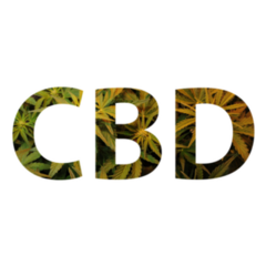 Cbd Cannabis Leaves Lettering Sticker