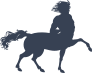 Centaur With Curly Hair Sticker