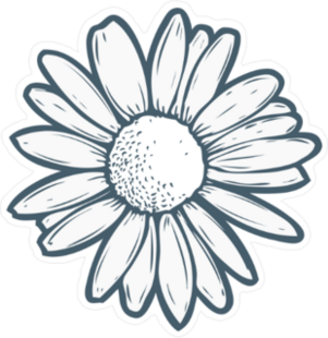 Chamomile Illustration Sticker