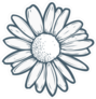 Chamomile Illustration Sticker