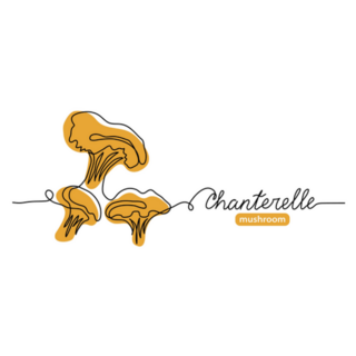 Chanterelle Wild Mushrooms Single Line Art Sticker