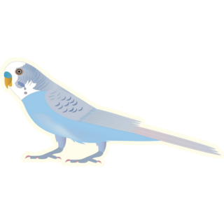 Charming Cartoon Parakeet Sticker