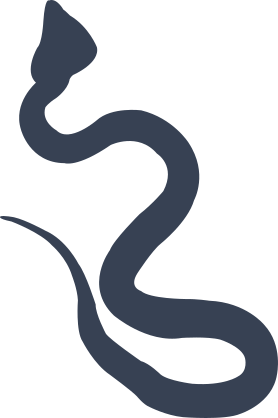 Charming Snake Sticker