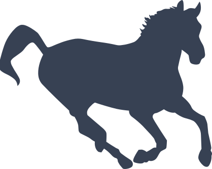 Cheerful Horse Sticker