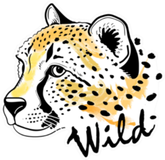 Cheetah Portrait With Lettering Wild Sticker