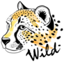 Cheetah Portrait With Lettering Wild Sticker