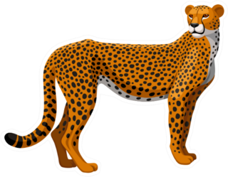 Cheetah Sticker