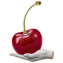 Cherry In Hand Sticker