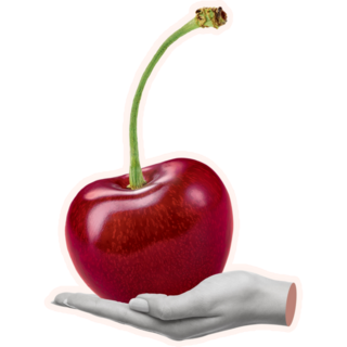 Cherry In Hand Sticker