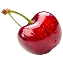 Cherry Realistic Sticker
