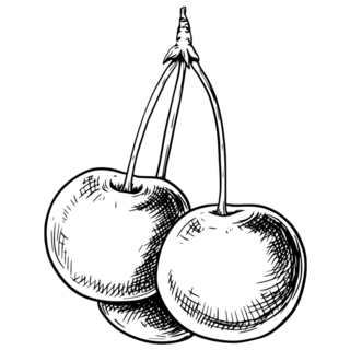 Cherry Sketch Sticker