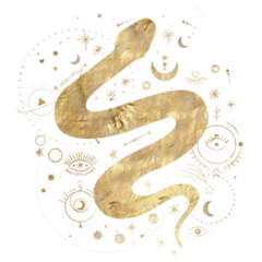 Chic Golden Celestial Snake Sticker