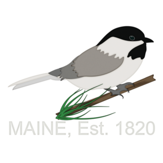 Chickadee Perched On Pine Tree Maine 1820 Sticker