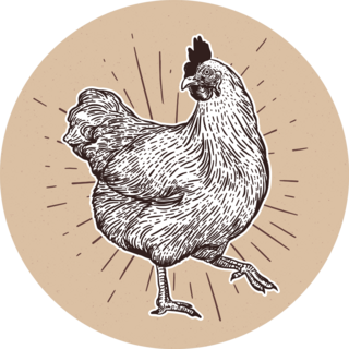 Chicken Hand Drawn Illustration On Brown Sticker