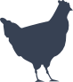 Chicken Sticker