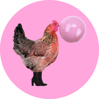 Chicken Wearing Black Boots And Chewing Bubblegum Sticker