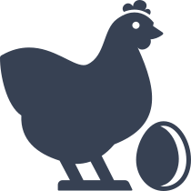Chicken With Egg Sticker