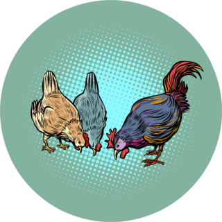 Chickens And Rooster Farm Birds Pop Art Sticker